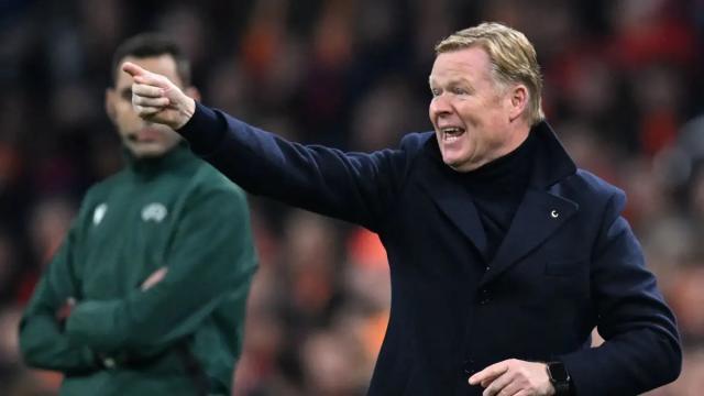 1718434519599000377.jpg 12.jpg